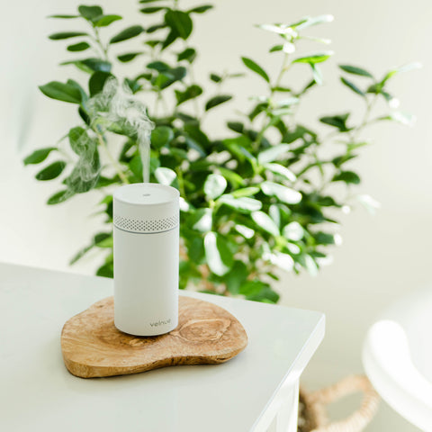 Wellspring Cordless Essential Oil Diffuser